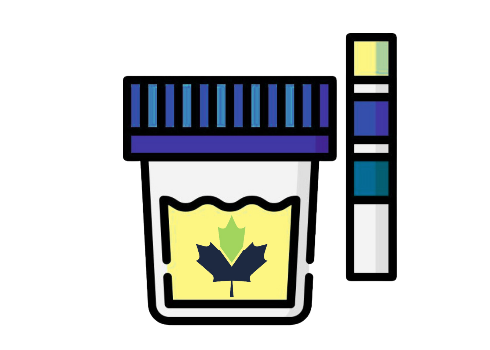 Urine Test